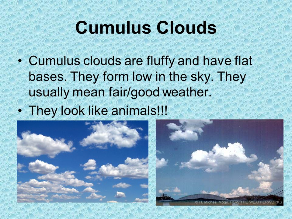 Cumulus Clouds Cumulus clouds are fluffy and have flat bases.