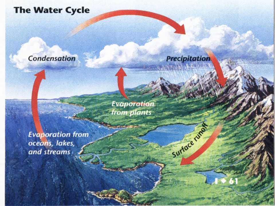 Water Cycle The water cycle is the movement of water into the air as water vapor and back to Earth’s surface as precipitation.