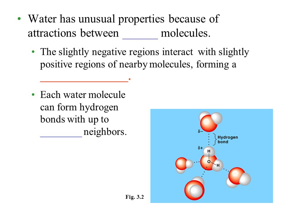 1 the polarity of water molecules results from hydrogen bonding what atoms can form hydrogen bonds