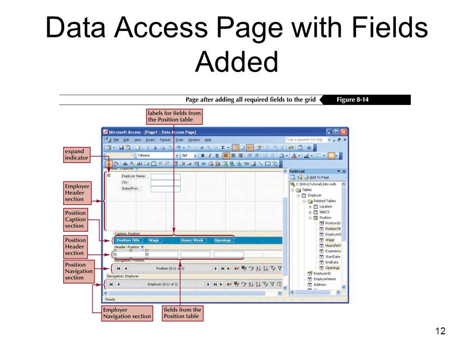 12 Data Access Page with Fields Added