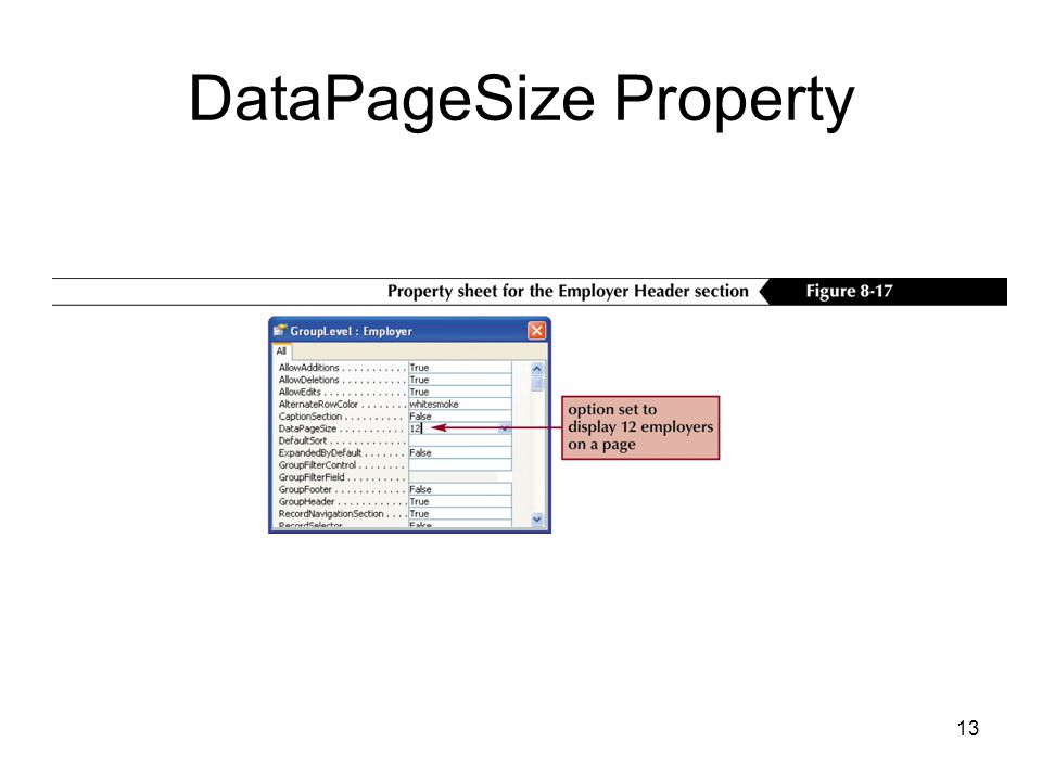 13 DataPageSize Property