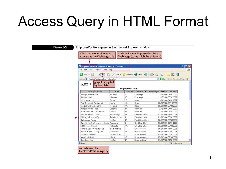 5 Access Query in HTML Format