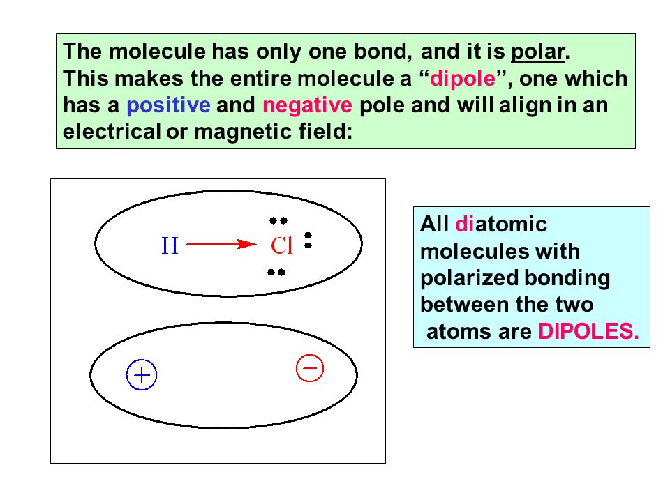 The molecule has only one bond, and it is polar.