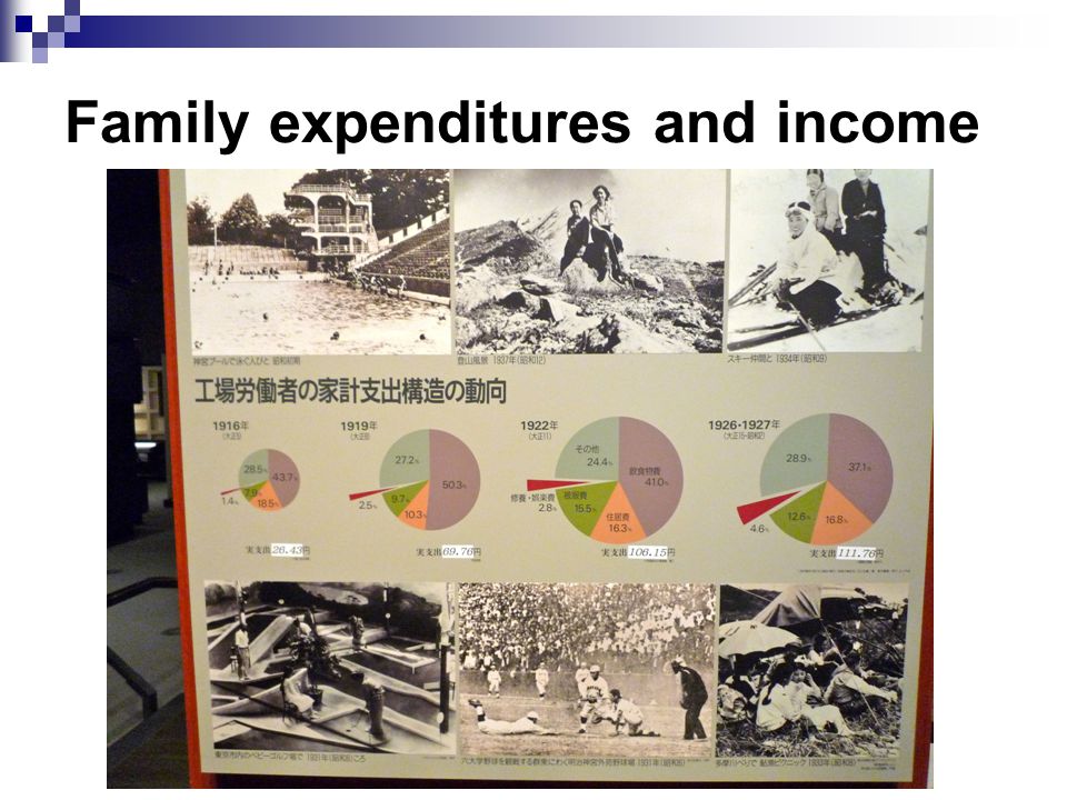 Family expenditures and income