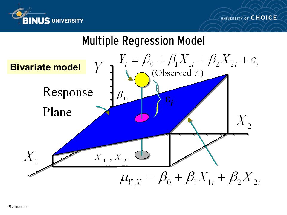 Bina Nusantara Multiple Regression Model Bivariate model