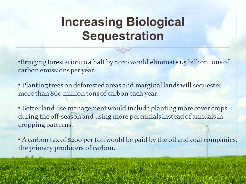 Increasing Biological Sequestration Bringing forestation to a halt by 2020 would eliminate 1.5 billion tons of carbon emissions per year.