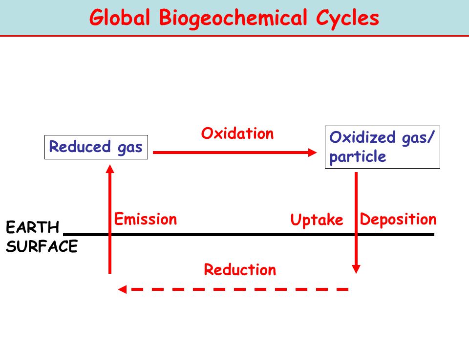 the biogeochemical cycles of earth A biogeochemical cycle is a pathway by which a chemical element, such as carbon, or compound, like water, moves through earth's biosphere, atmosphere, hydrosphere and lithosphere in effect, the element is recycled, although in some cycles the element is accumulated or held for long periods of time. the biogeochemical cycles of earth A biogeochemical cycle is a pathway by which a chemical element, such as carbon, or compound, like water, moves through earth's biosphere, atmosphere, hydrosphere and lithosphere in effect, the element is recycled, although in some cycles the element is accumulated or held for long periods of time.