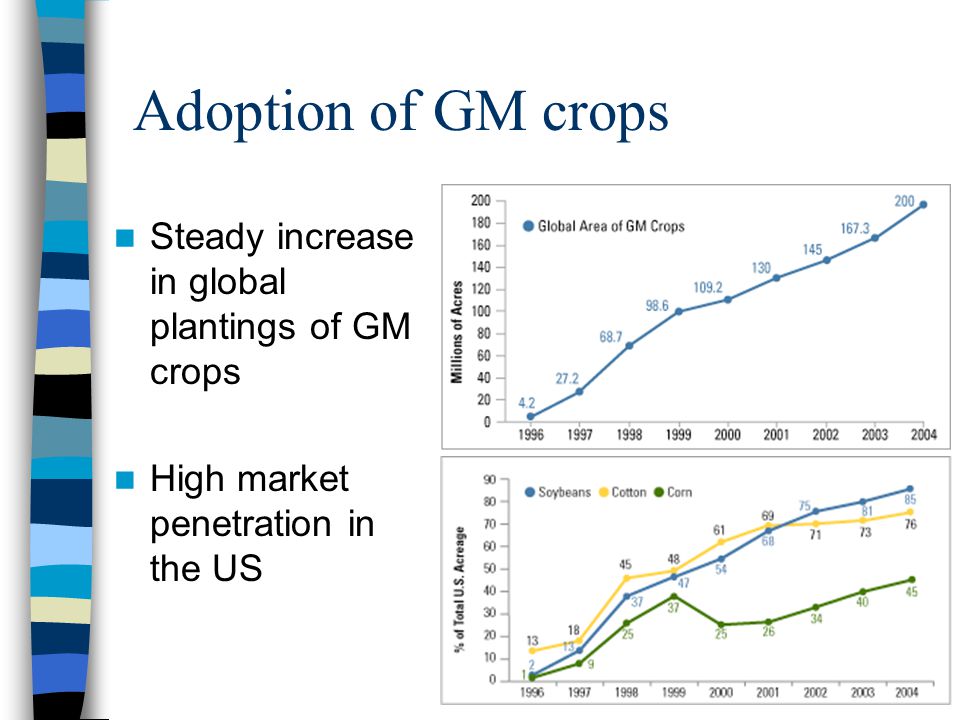 Adoption of GM crops Steady increase in global plantings of GM crops High market penetration in the US