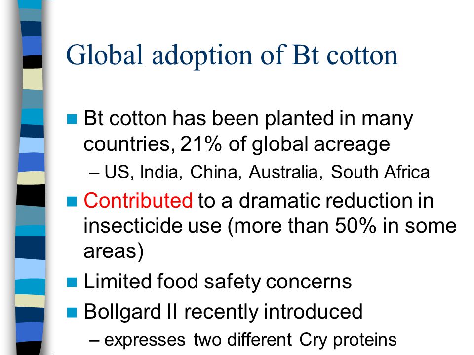 Global adoption of Bt cotton Bt cotton has been planted in many countries, 21% of global acreage –US, India, China, Australia, South Africa Contributed to a dramatic reduction in insecticide use (more than 50% in some areas) Limited food safety concerns Bollgard II recently introduced –expresses two different Cry proteins