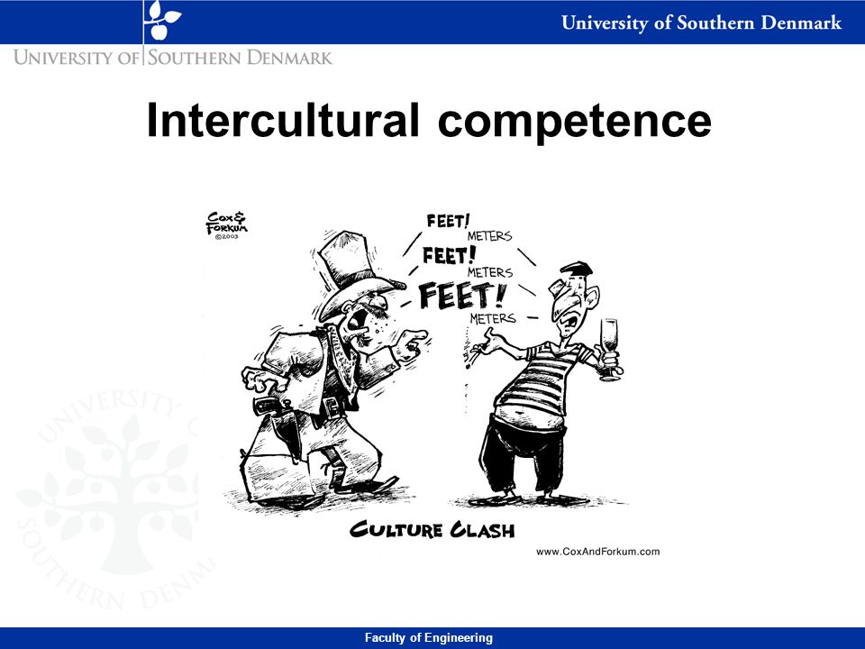 Intercultural competence Faculty of Engineering