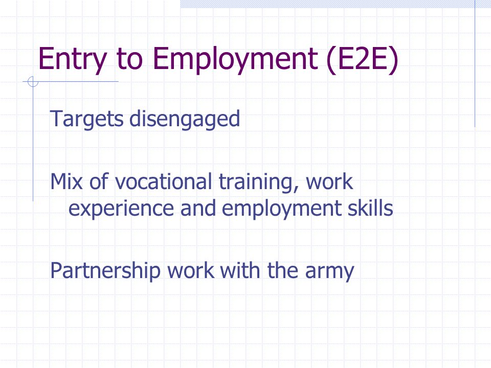 Entry to Employment (E2E) Targets disengaged Mix of vocational training, work experience and employment skills Partnership work with the army