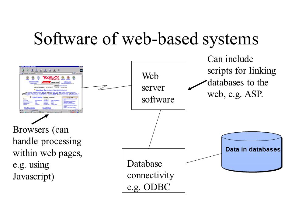 Software of web-based systems Browsers (can handle processing within web pages, e.g.