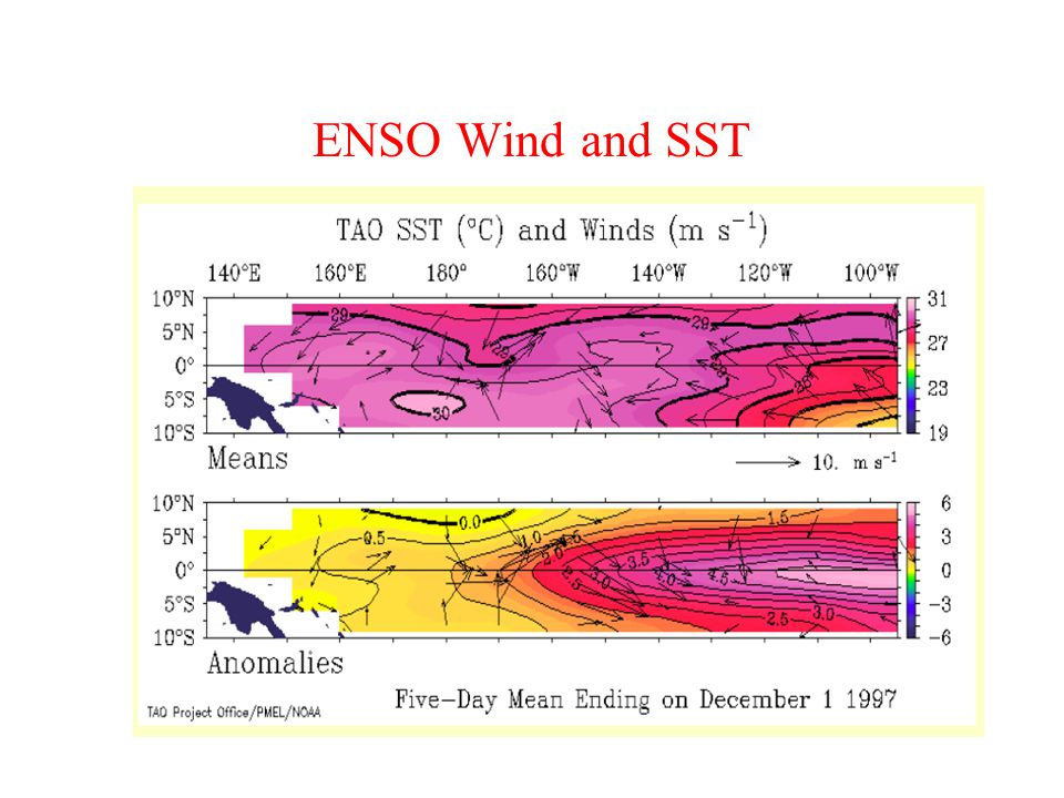 ENSO Wind and SST