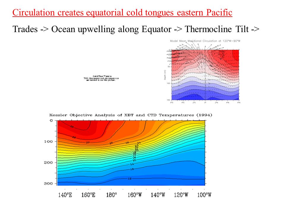 Observed annual mean state Circulation creates equatorial cold tongues eastern Pacific Trades -> Ocean upwelling along Equator -> Thermocline Tilt ->
