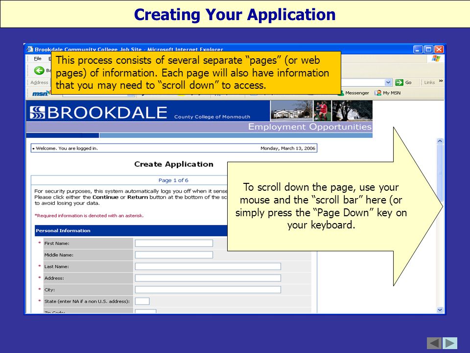 This process consists of several separate pages (or web pages) of information.