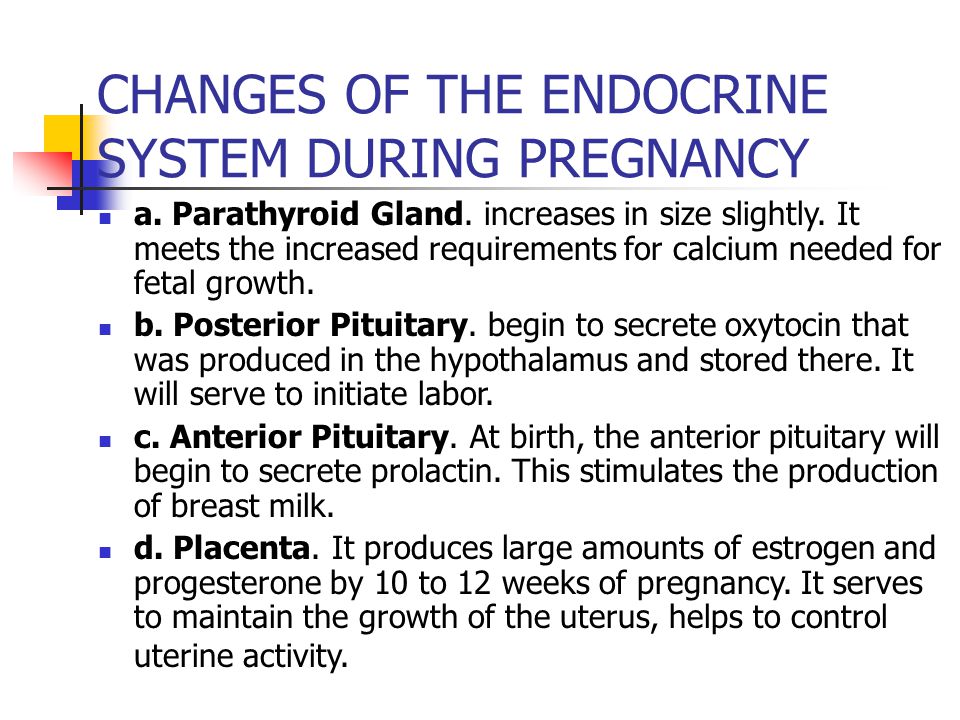 Adaptations pregnancy