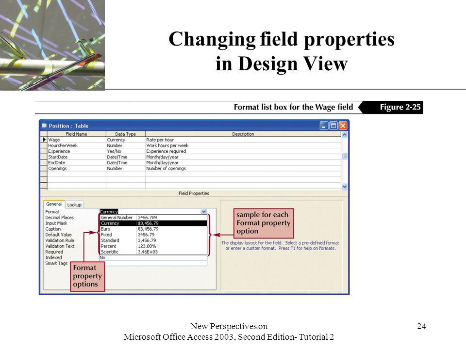 XP New Perspectives on Microsoft Office Access 2003, Second Edition- Tutorial 2 24 Changing field properties in Design View