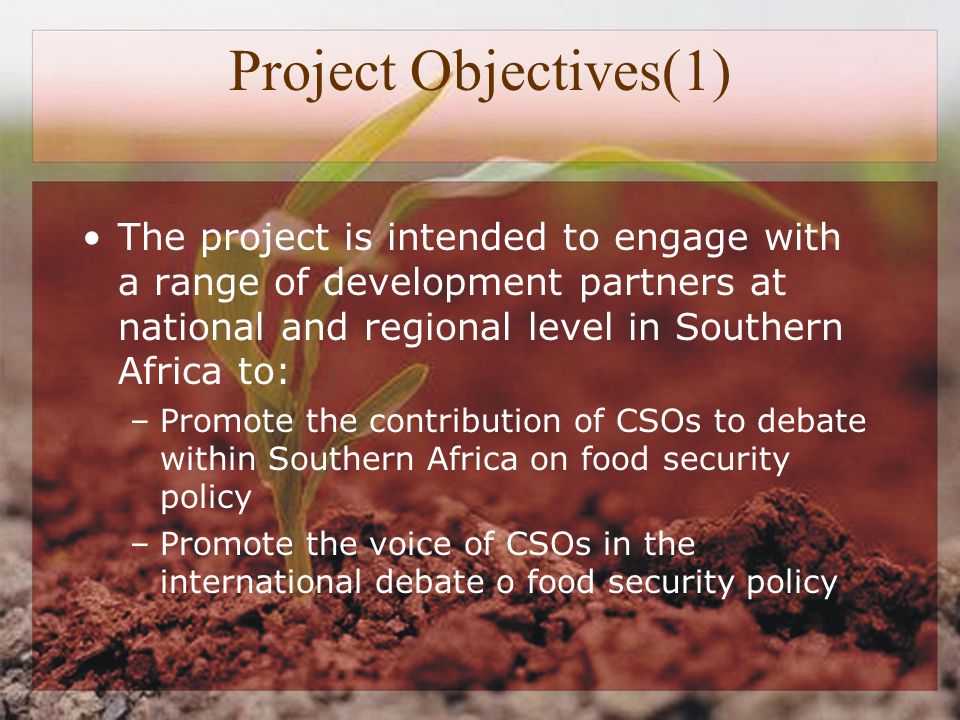 Project Objectives(1) The project is intended to engage with a range of development partners at national and regional level in Southern Africa to: –Promote the contribution of CSOs to debate within Southern Africa on food security policy –Promote the voice of CSOs in the international debate o food security policy