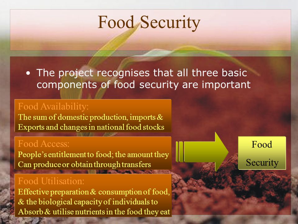 Food Security The project recognises that all three basic components of food security are important Food Availability: The sum of domestic production, imports & Exports and changes in national food stocks Food Security Food Access: People’s entitlement to food; the amount they Can produce or obtain through transfers Food Utilisation: Effective preparation & consumption of food, & the biological capacity of individuals to Absorb & utilise nutrients in the food they eat