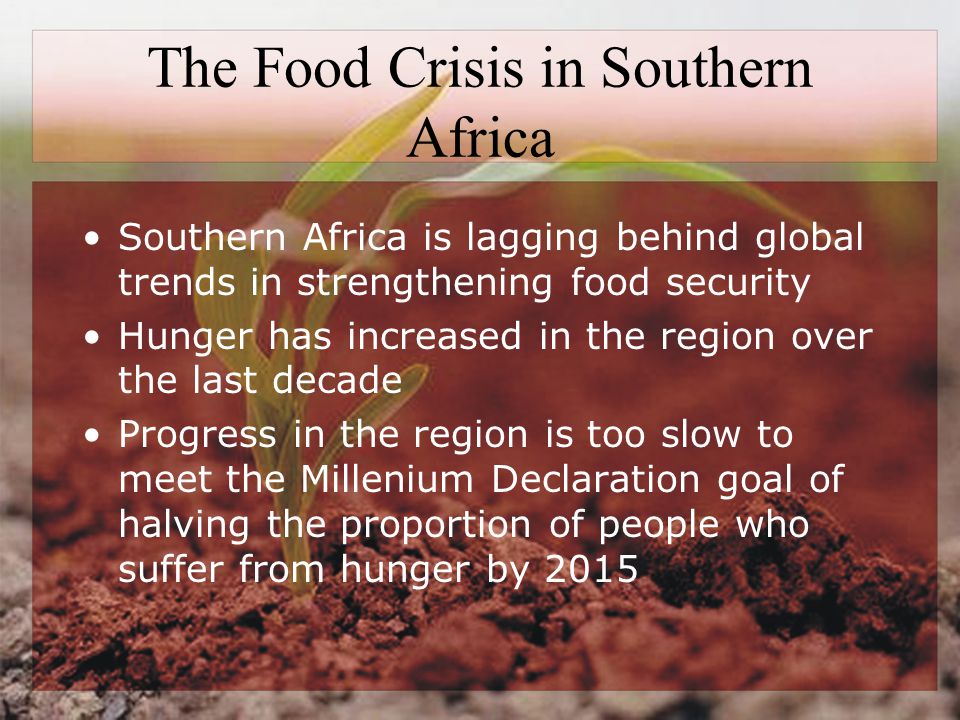 The Food Crisis in Southern Africa Southern Africa is lagging behind global trends in strengthening food security Hunger has increased in the region over the last decade Progress in the region is too slow to meet the Millenium Declaration goal of halving the proportion of people who suffer from hunger by 2015