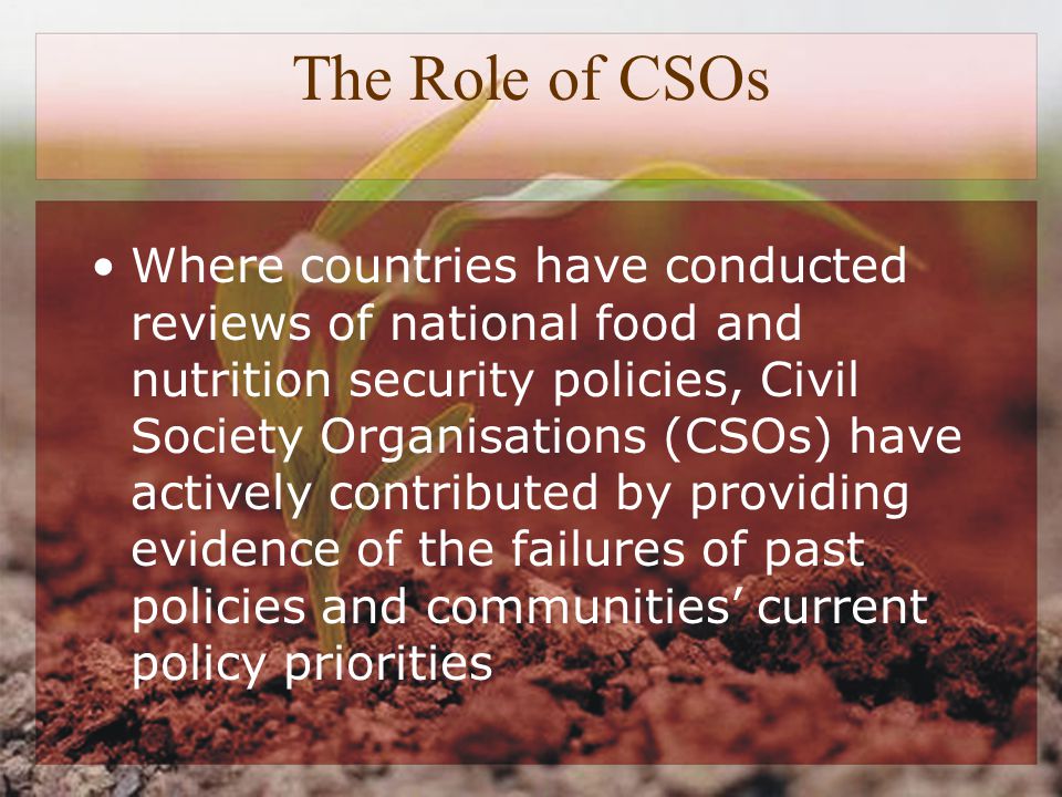The Role of CSOs Where countries have conducted reviews of national food and nutrition security policies, Civil Society Organisations (CSOs) have actively contributed by providing evidence of the failures of past policies and communities’ current policy priorities