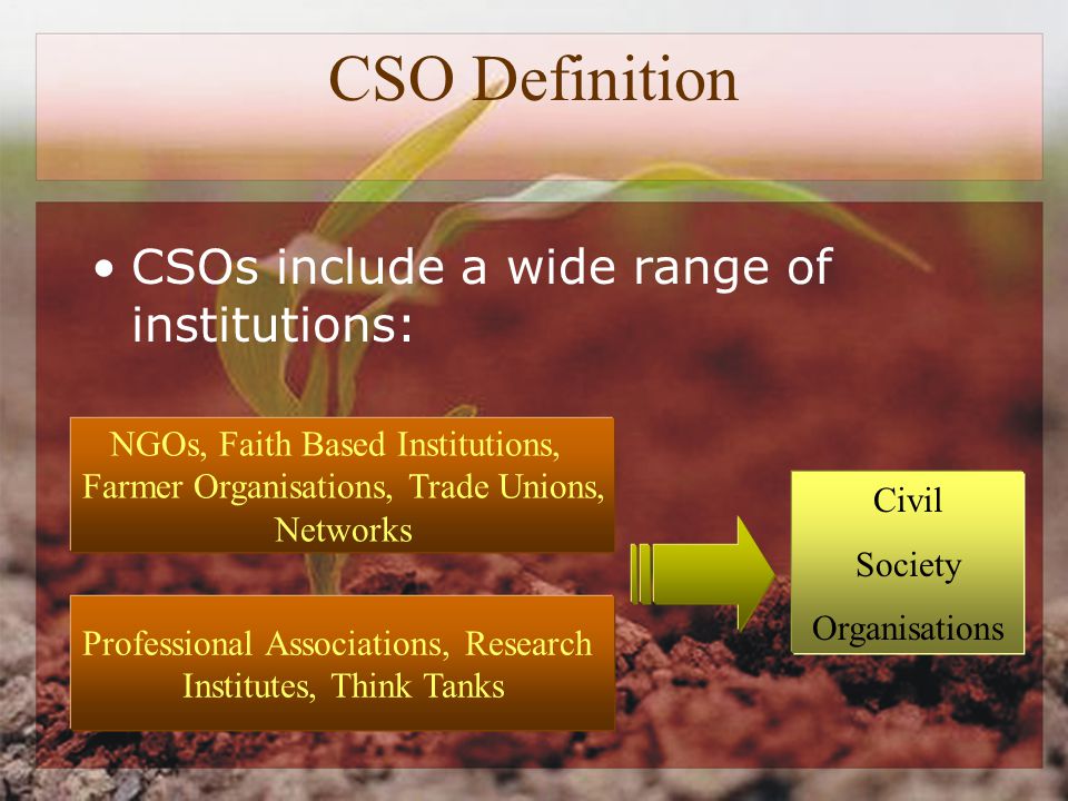 CSO Definition CSOs include a wide range of institutions: NGOs, Faith Based Institutions, Farmer Organisations, Trade Unions, Networks Professional Associations, Research Institutes, Think Tanks Civil Society Organisations