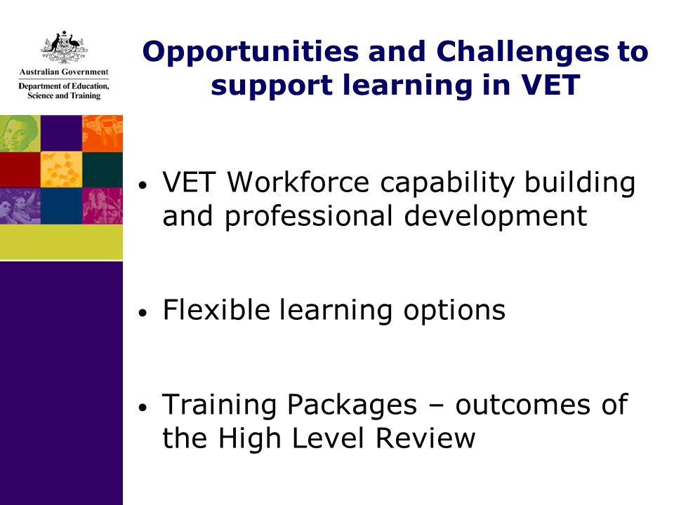 Opportunities and Challenges to support learning in VET VET Workforce capability building and professional development Flexible learning options Training Packages – outcomes of the High Level Review
