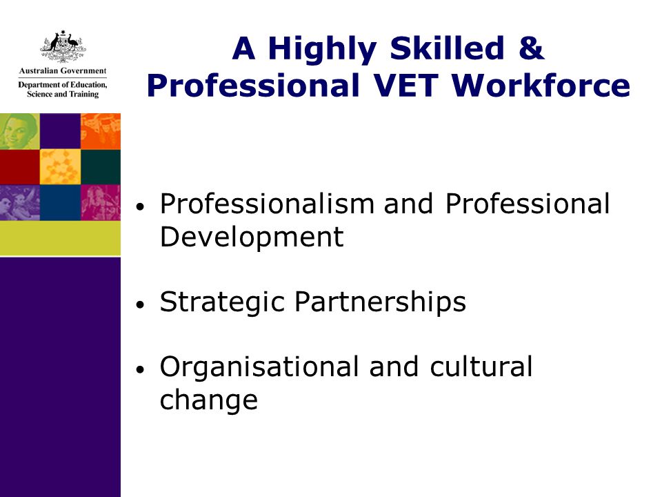 A Highly Skilled & Professional VET Workforce Professionalism and Professional Development Strategic Partnerships Organisational and cultural change