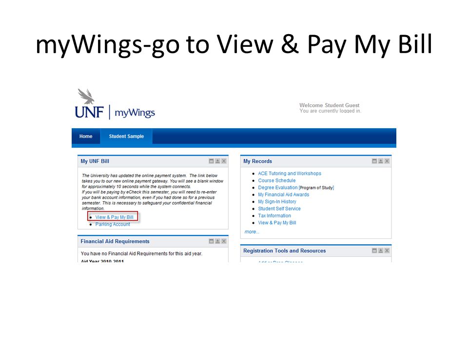 myWings-go to View & Pay My Bill