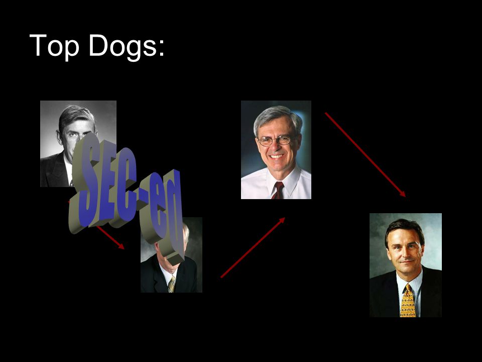 Top Dogs: