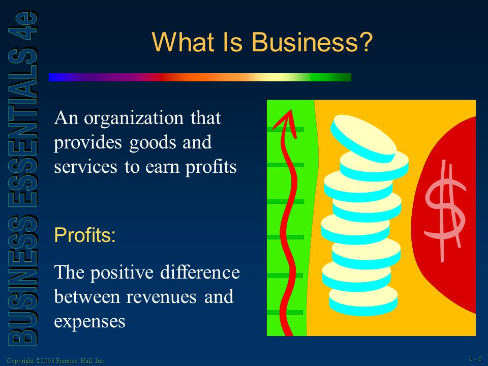 Copyright ©2003 Prentice Hall, Inc What Is Business.