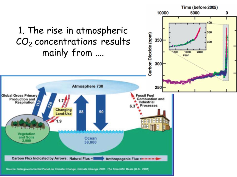1. The rise in atmospheric CO 2 concentrations results mainly from ….