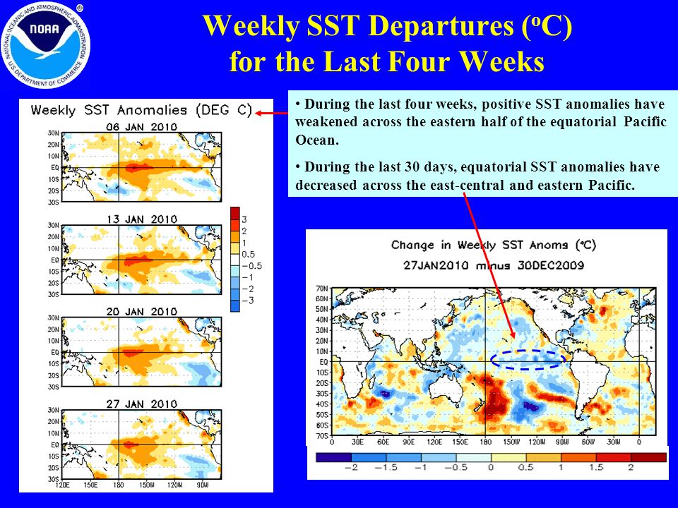 Weekly SST Departures ( o C) for the Last Four Weeks During the last four weeks, positive SST anomalies have weakened across the eastern half of the equatorial Pacific Ocean.