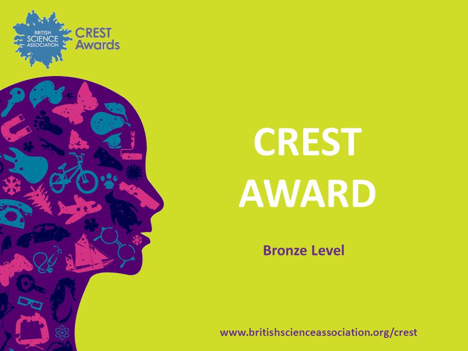 CREST AWARD Bronze Level