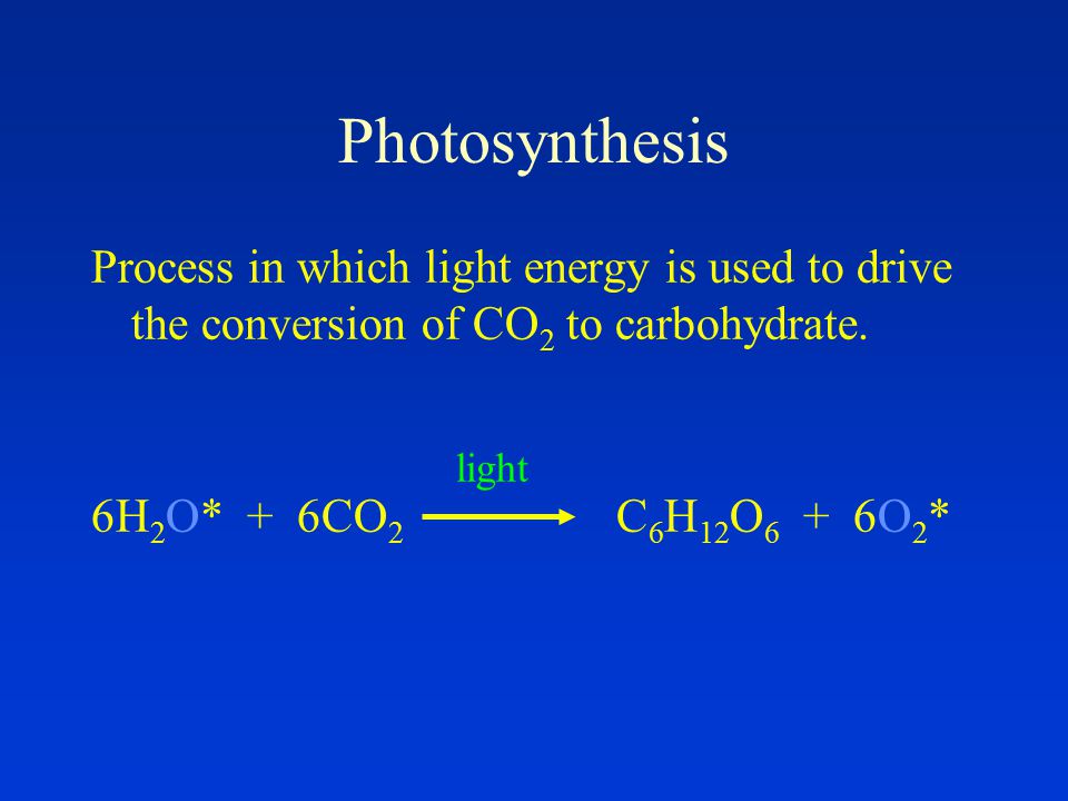 Photosynthesis Process in which light energy is used to drive the conversion of CO 2 to carbohydrate.