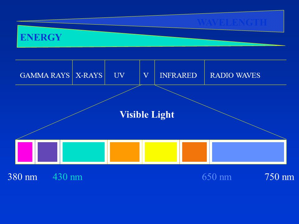 GAMMA RAYS X-RAYS UV V INFRARED RADIO WAVES ENERGY WAVELENGTH Visible Light 380 nm 430 nm 650 nm 750 nm