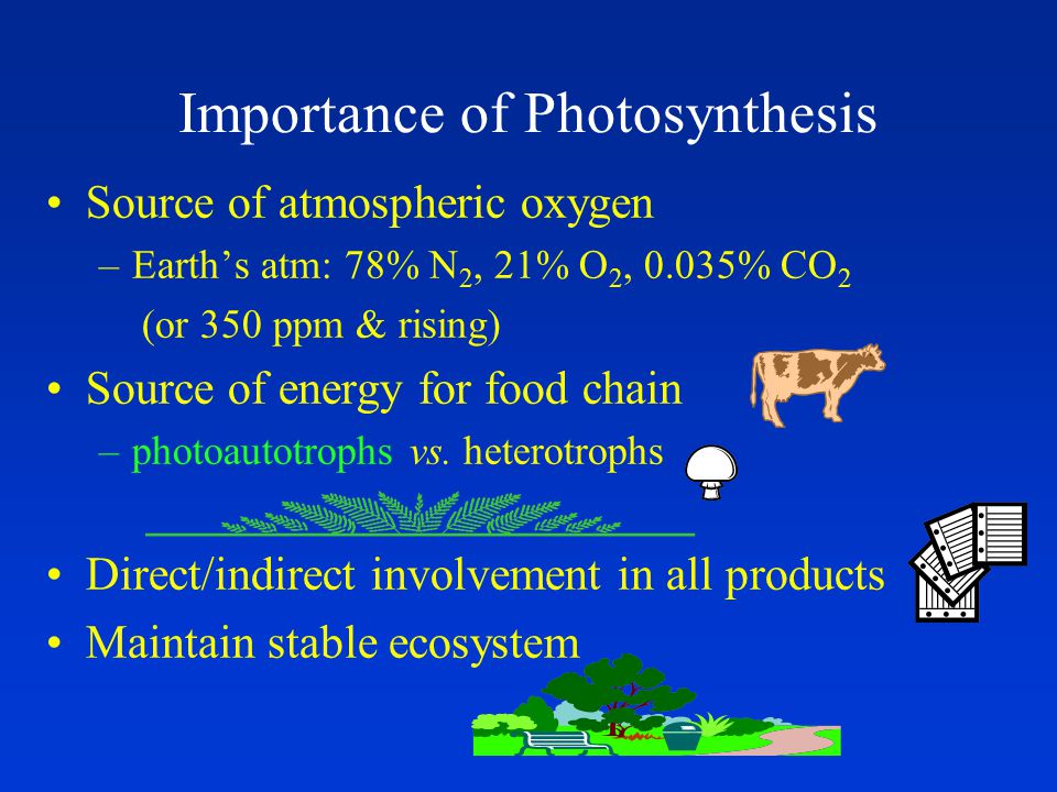 Importance of Photosynthesis Source of atmospheric oxygen –Earth’s atm: 78% N 2, 21% O 2, 0.035% CO 2 (or 350 ppm & rising) Source of energy for food chain –photoautotrophs vs.