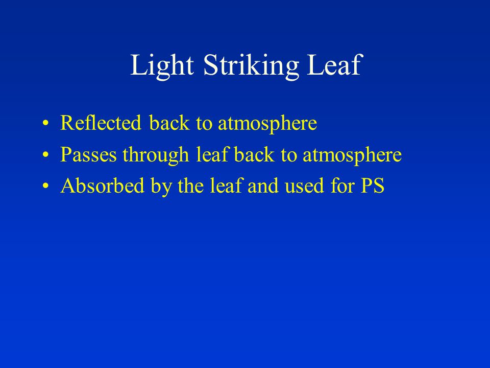 Light Striking Leaf Reflected back to atmosphere Passes through leaf back to atmosphere Absorbed by the leaf and used for PS