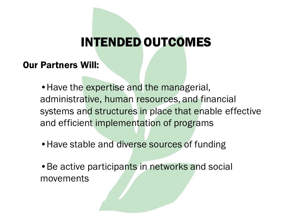 Have the expertise and the managerial, administrative, human resources, and financial systems and structures in place that enable effective and efficient implementation of programs Have stable and diverse sources of funding Be active participants in networks and social movements INTENDED OUTCOMES Our Partners Will:
