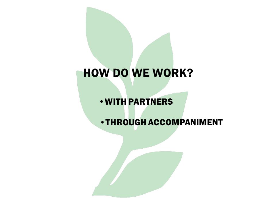 HOW DO WE WORK WITH PARTNERS THROUGH ACCOMPANIMENT