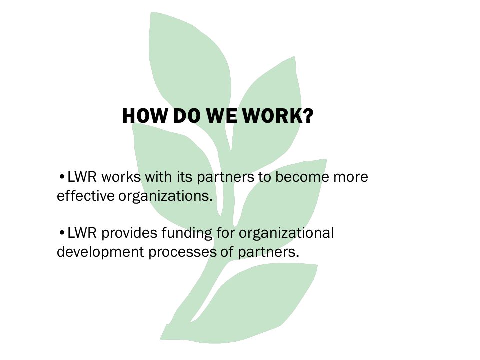 LWR provides funding for organizational development processes of partners.
