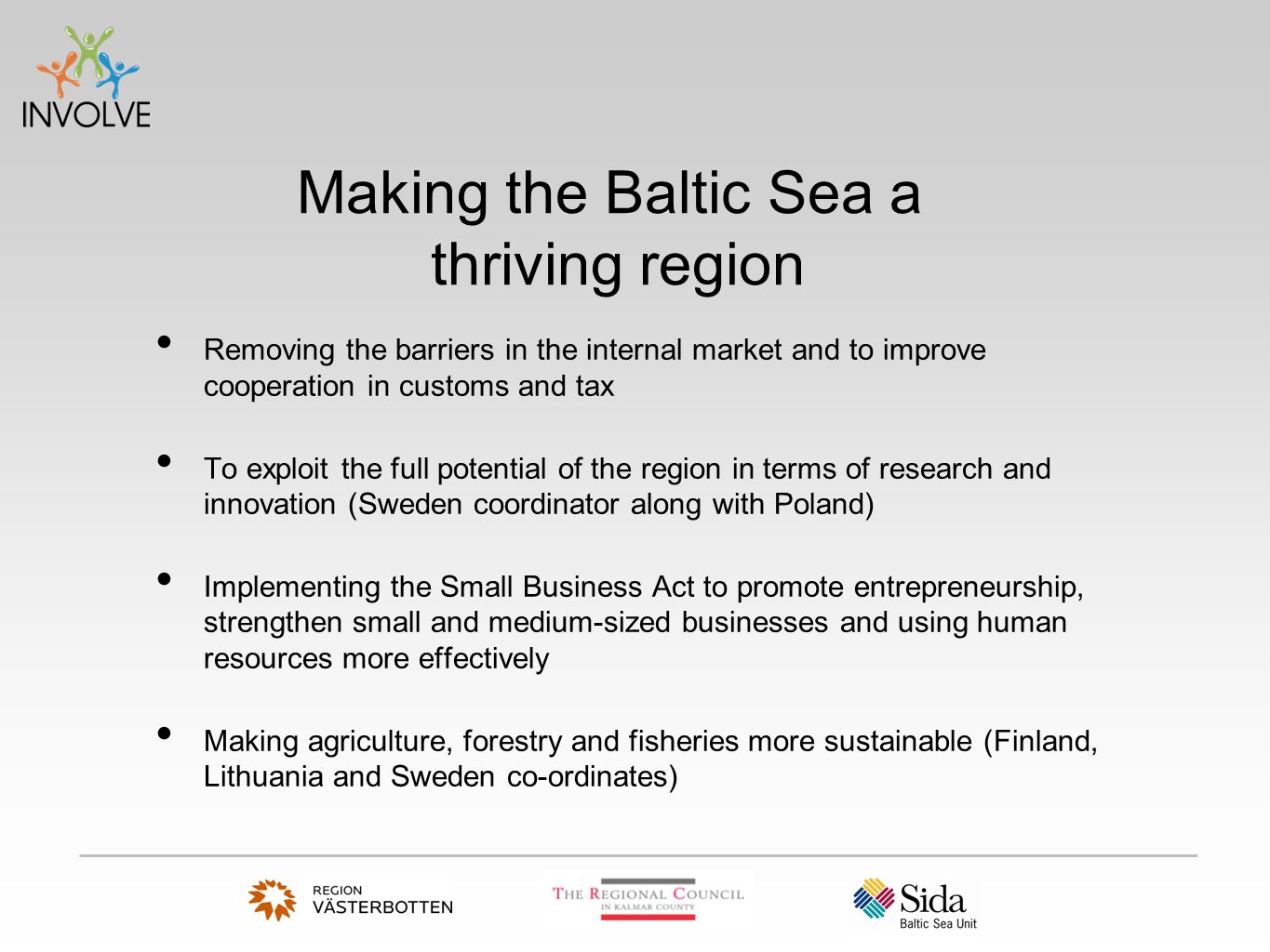 Removing the barriers in the internal market and to improve cooperation in customs and tax To exploit the full potential of the region in terms of research and innovation (Sweden coordinator along with Poland) Implementing the Small Business Act to promote entrepreneurship, strengthen small and medium-sized businesses and using human resources more effectively Making agriculture, forestry and fisheries more sustainable (Finland, Lithuania and Sweden co-ordinates) Making the Baltic Sea a thriving region