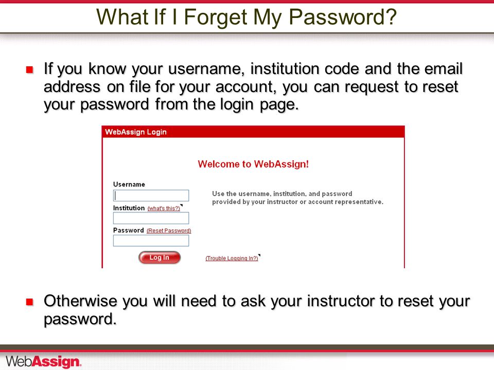 What If I Forget My Password.