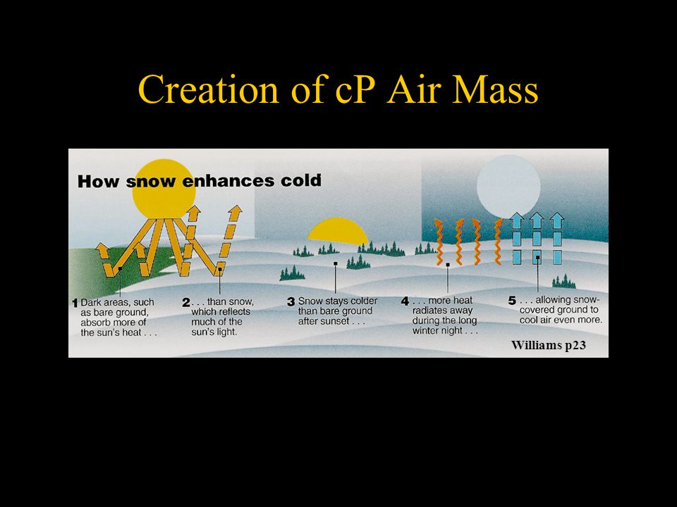 Creation of cP Air Mass Williams p23