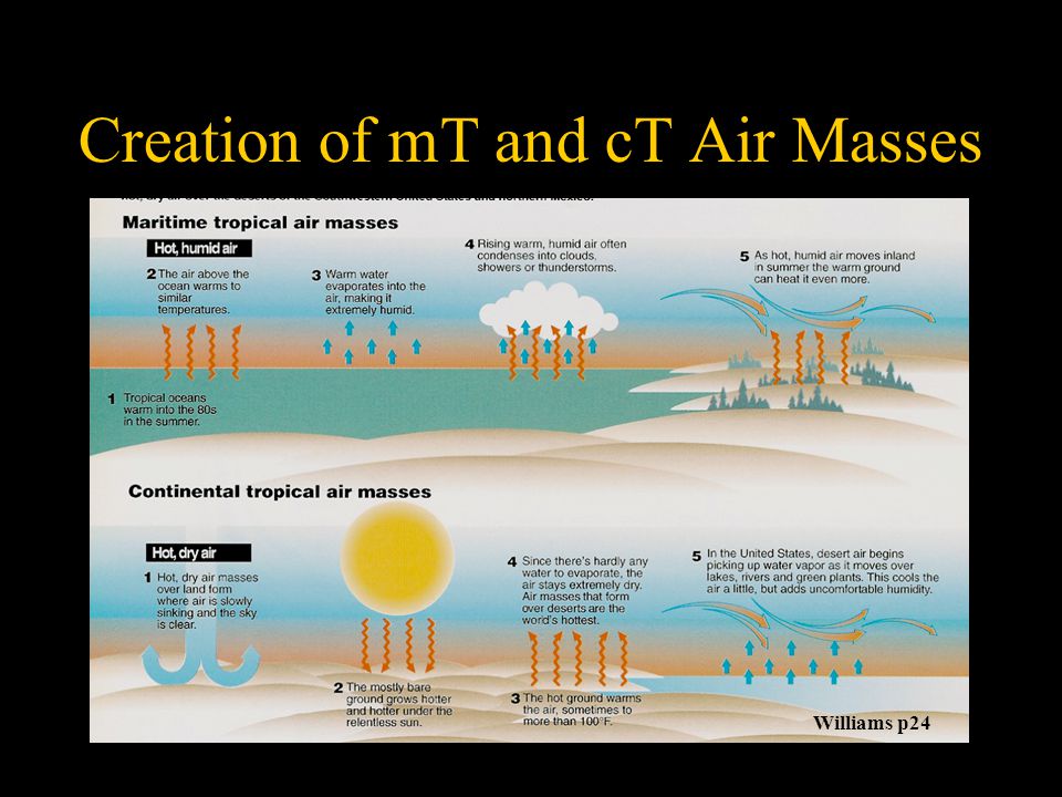Creation of mT and cT Air Masses Williams p24