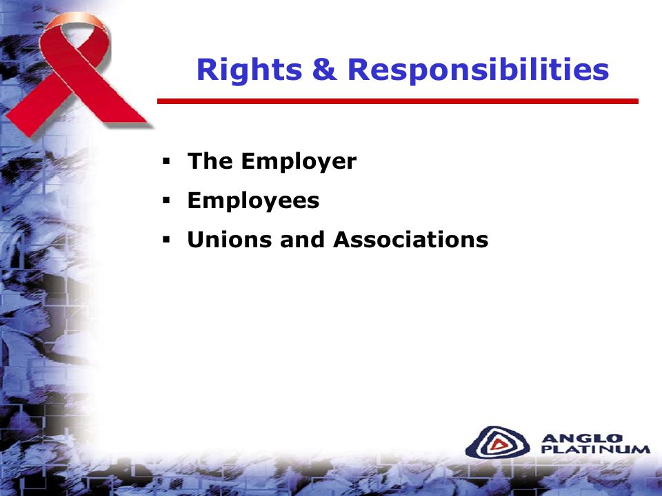 Rights & Responsibilities  The Employer  Employees  Unions and Associations