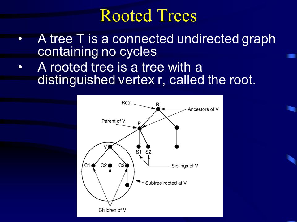 Rooted Trees A tree T is a connected undirected graph containing no cycles A rooted tree is a tree with a distinguished vertex r, called the root.