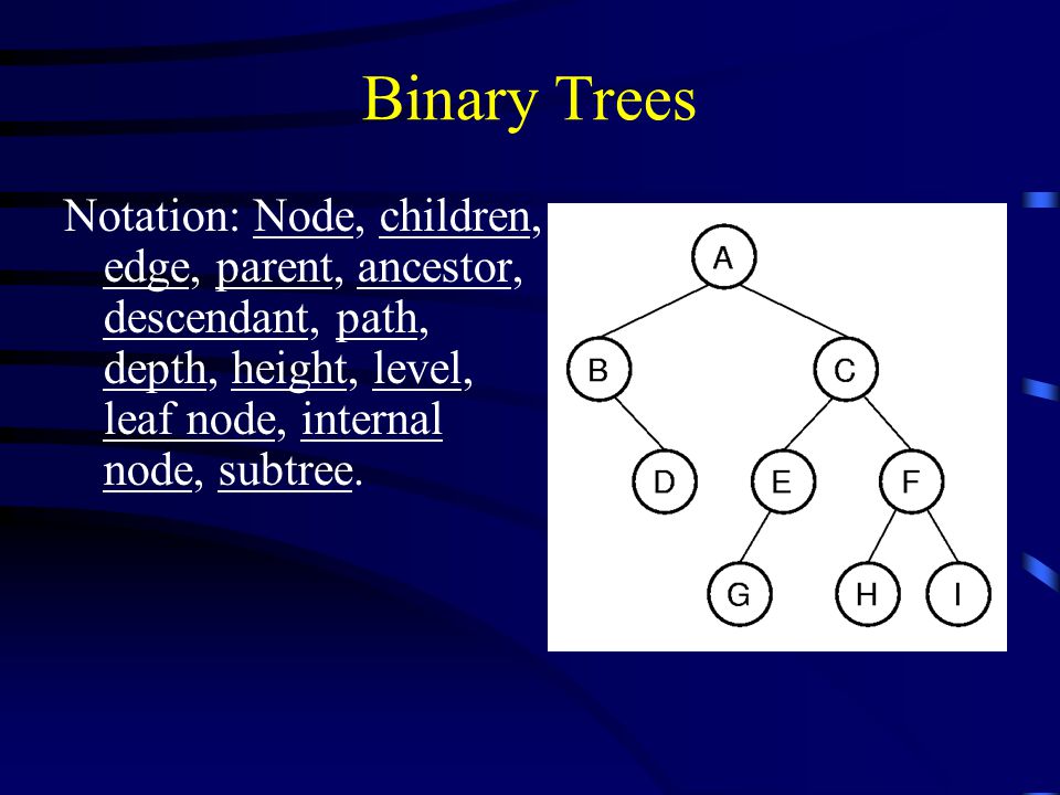 Binary Trees Notation: Node, children, edge, parent, ancestor, descendant, path, depth, height, level, leaf node, internal node, subtree.