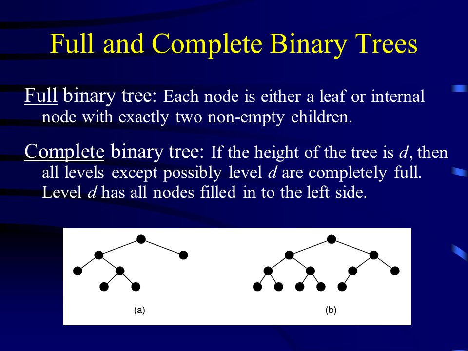 Full and Complete Binary Trees Full binary tree: Each node is either a leaf or internal node with exactly two non-empty children.