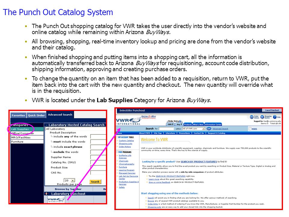 The Punch Out Catalog System The Punch Out shopping catalog for VWR takes the user directly into the vendor’s website and online catalog while remaining within Arizona BuyWays.